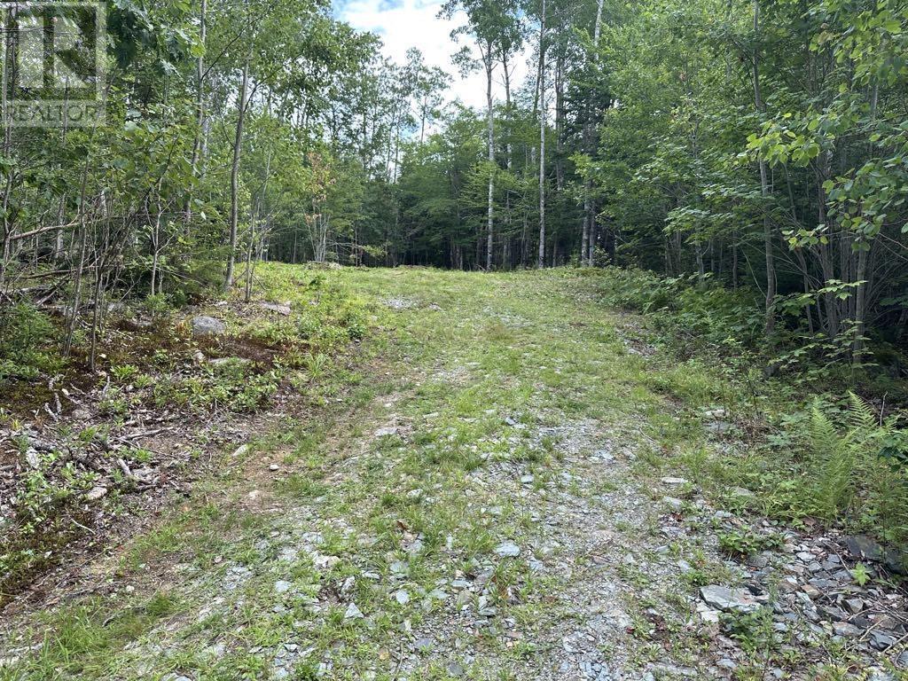 Lot 1-24 Falkenham Road, East Dalhousie, Nova Scotia  B0H 1H0 - Photo 2 - 202523641