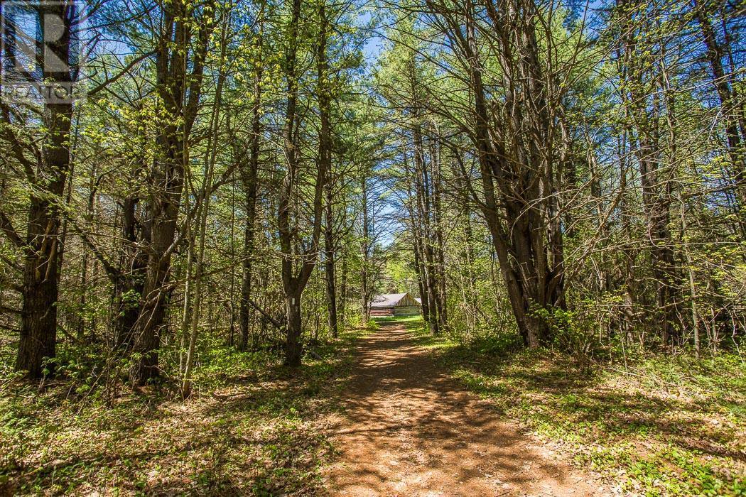 End Of Warnock Rd, Iron Bridge, Ontario P0R 1H0 - Photo 28 - SM251197