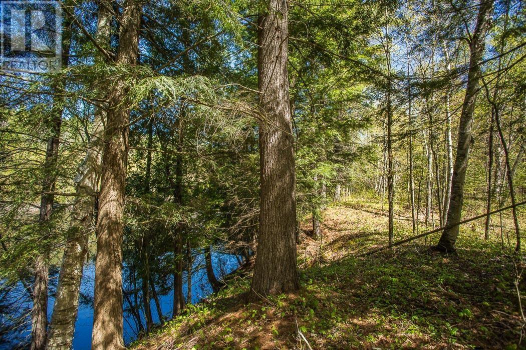 End Of Warnock Rd, Iron Bridge, Ontario P0R 1H0 - Photo 32 - SM251197