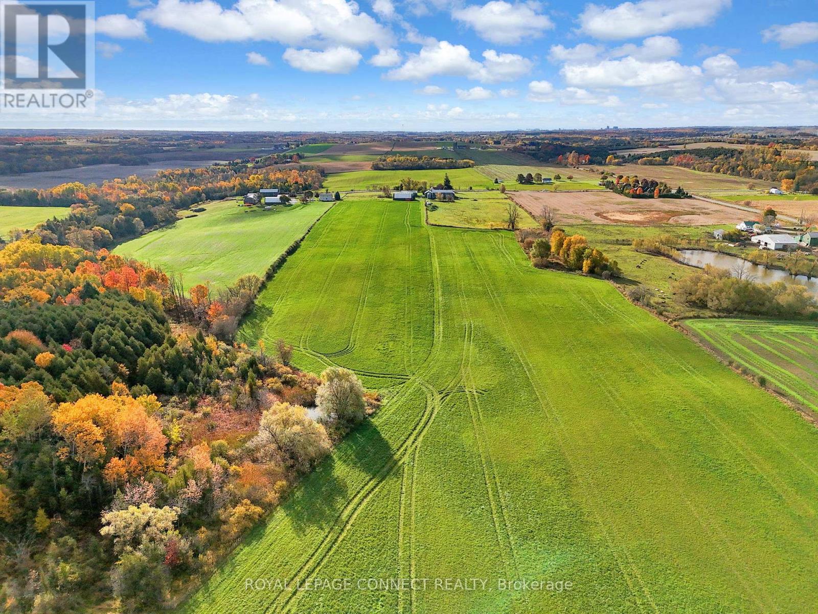 2890 Concession 7 Road, Clarington, Ontario  L1C 5W4 - Photo 6 - E12507296