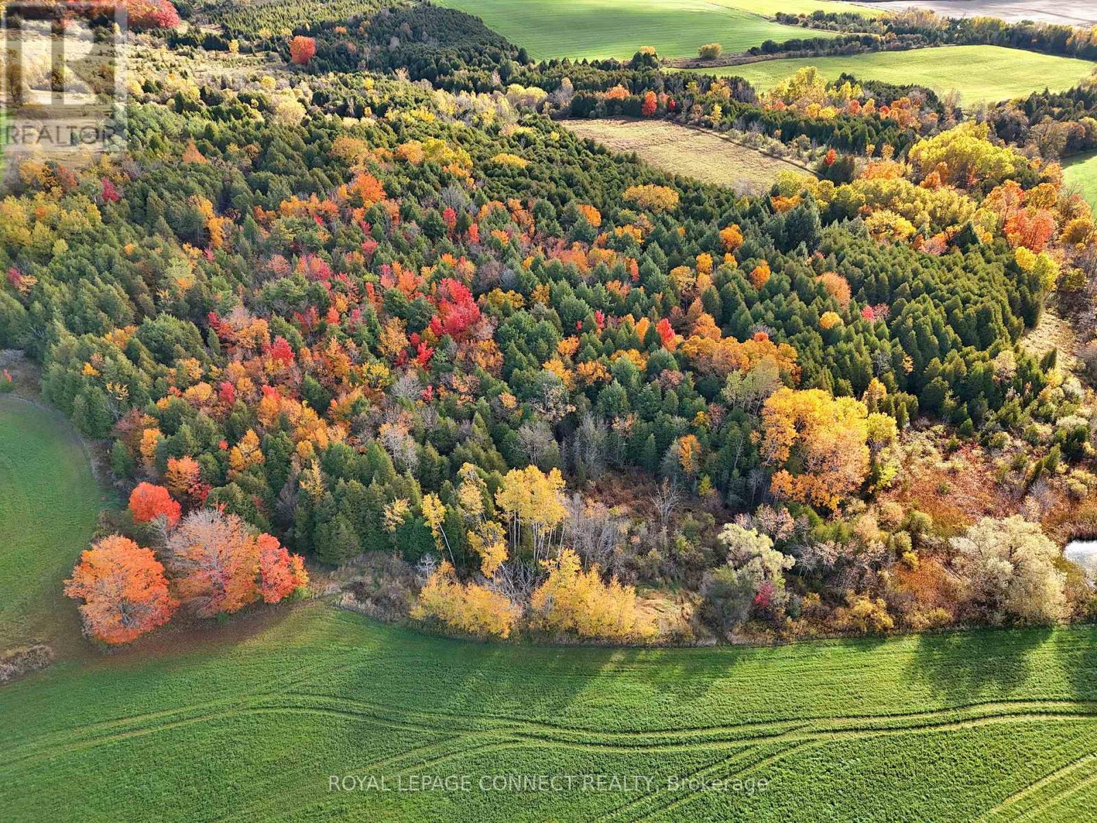 2890 Concession 7 Road, Clarington, Ontario  L1C 5W4 - Photo 7 - E12507296