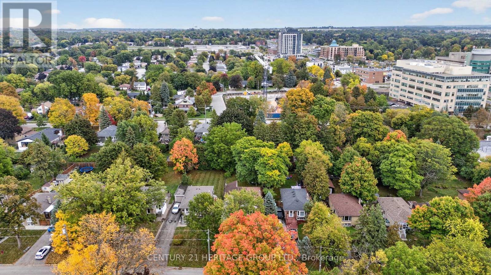 49 Bayview Parkway, Newmarket, Ontario  L3Y 3W2 - Photo 50 - N12507300