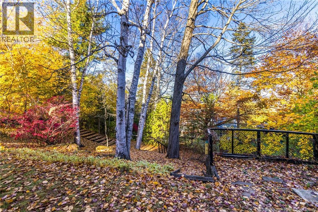 295 Montgomery Street, Fredericton, New Brunswick  E3B 2X2 - Photo 3 - NB129566