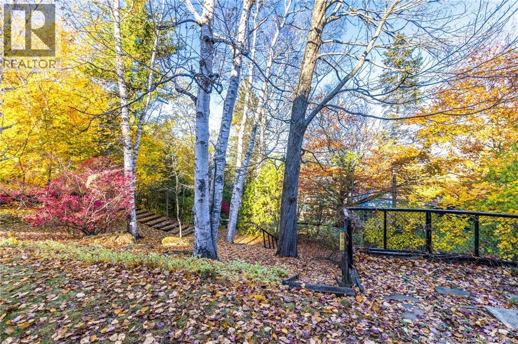 295 Montgomery Street, Fredericton, New Brunswick  E3B 2X2 - Photo 4 - NB129566