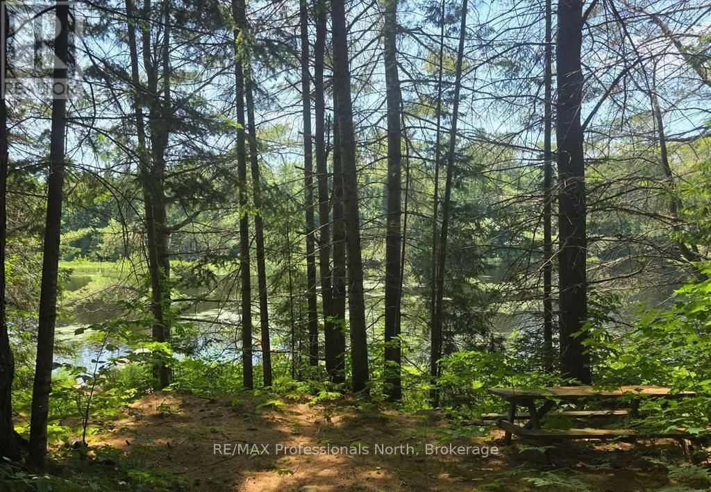 1134 Walkers Line Road, Algonquin Highlands, Ontario K0M 1S0 - Photo 11 - X12507824