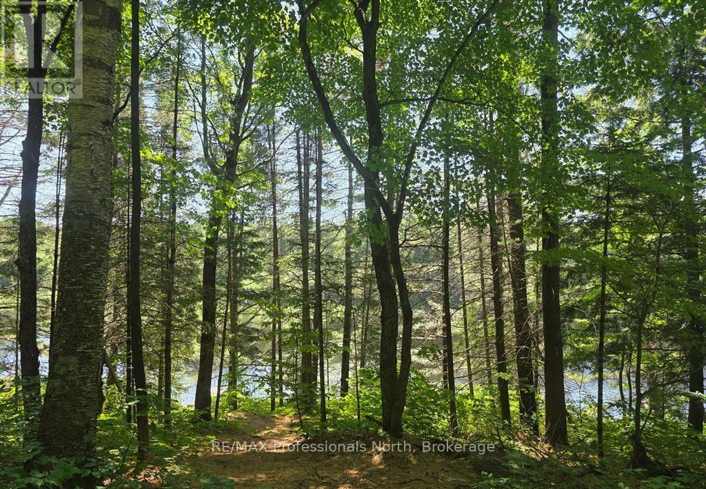 1134 Walkers Line Road, Algonquin Highlands, Ontario K0M 1S0 - Photo 12 - X12507824