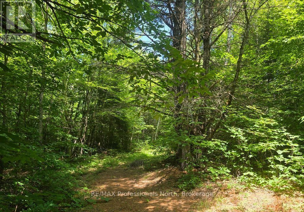 1134 Walkers Line Road, Algonquin Highlands, Ontario K0M 1S0 - Photo 15 - X12507824