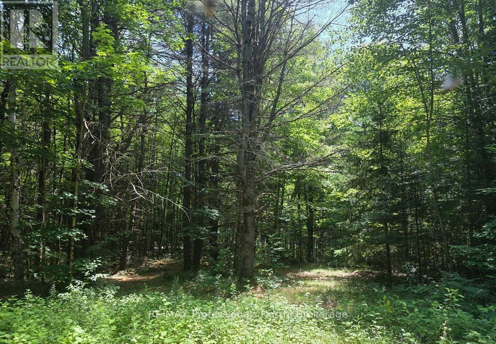 1134 Walkers Line Road, Algonquin Highlands, Ontario K0M 1S0 - Photo 16 - X12507824