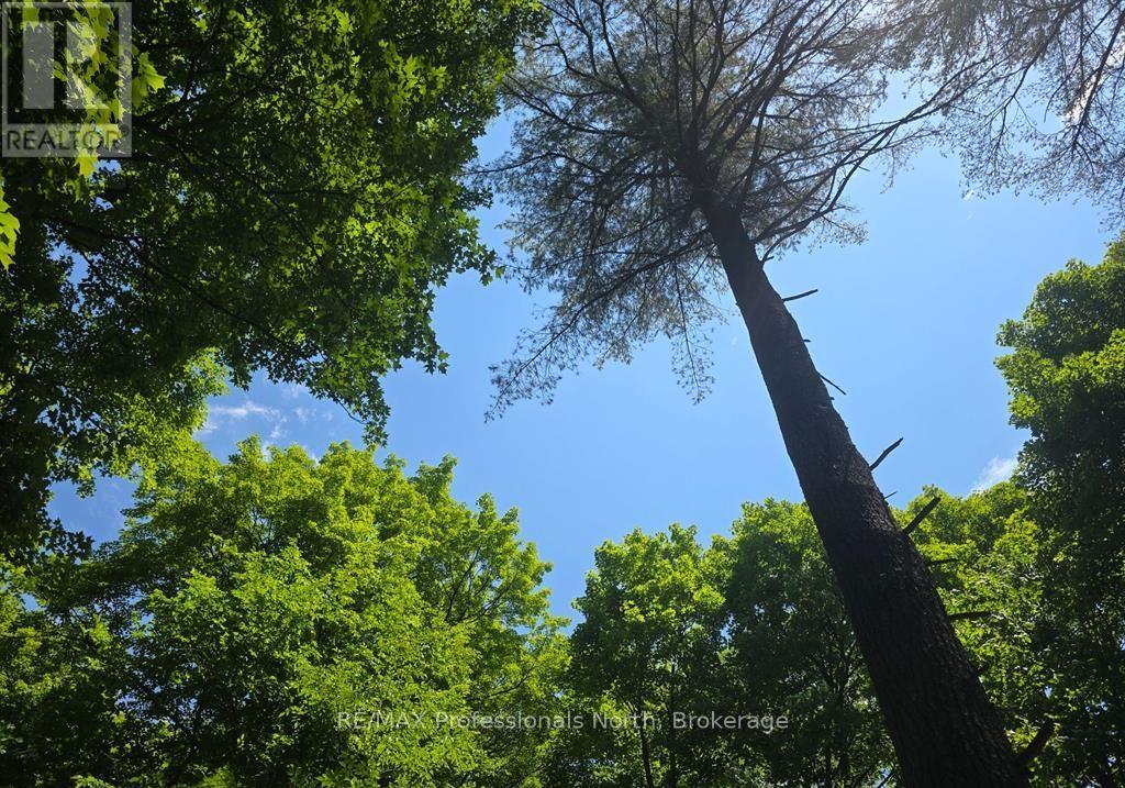 1134 Walkers Line Road, Algonquin Highlands, Ontario K0M 1S0 - Photo 17 - X12507824