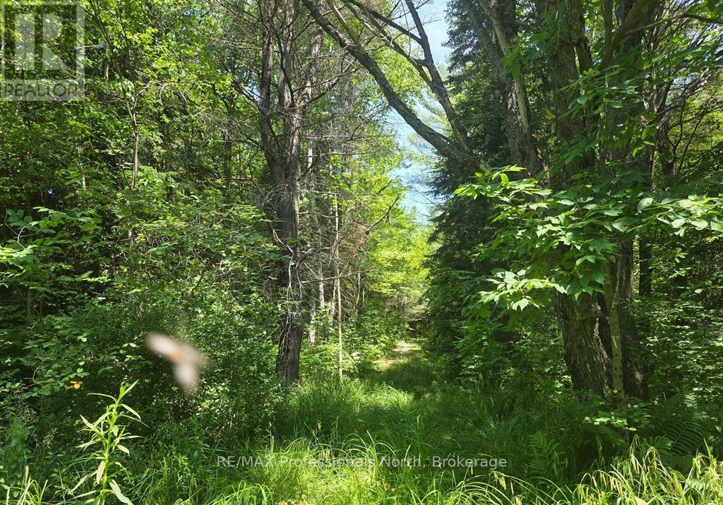 1134 Walkers Line Road, Algonquin Highlands, Ontario K0M 1S0 - Photo 18 - X12507824