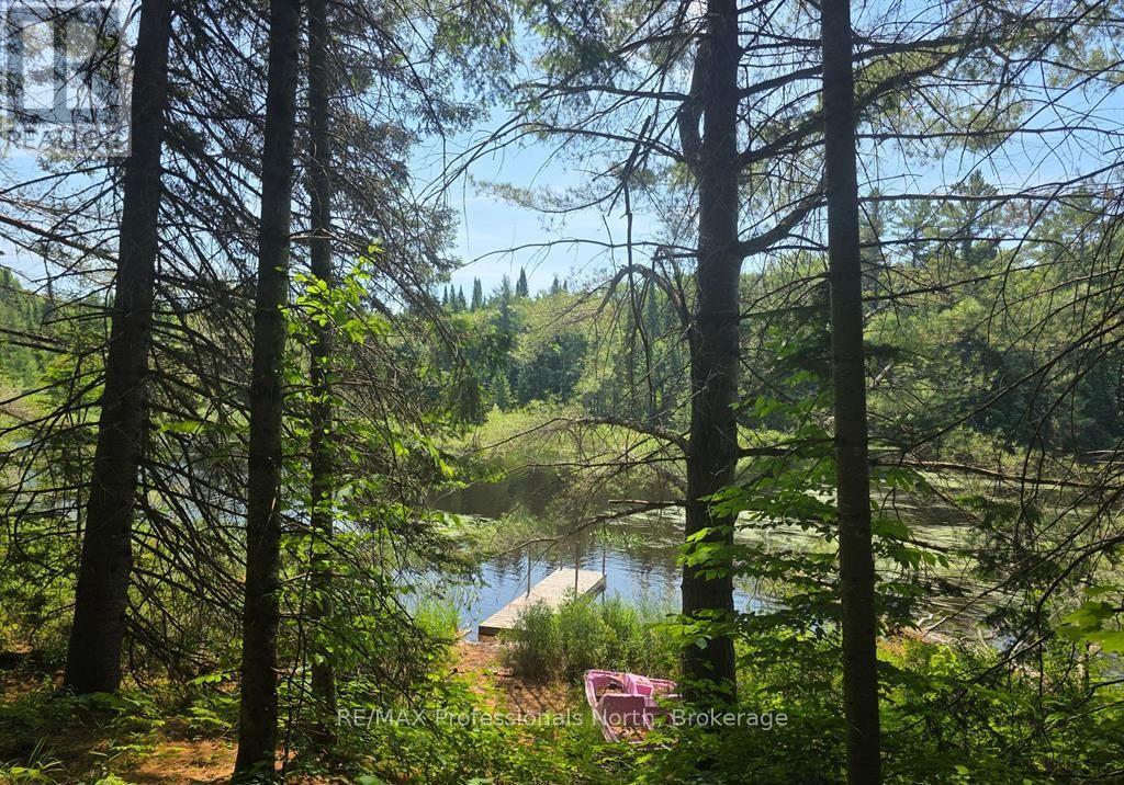 1134 Walkers Line Road, Algonquin Highlands, Ontario K0M 1S0 - Photo 2 - X12507824