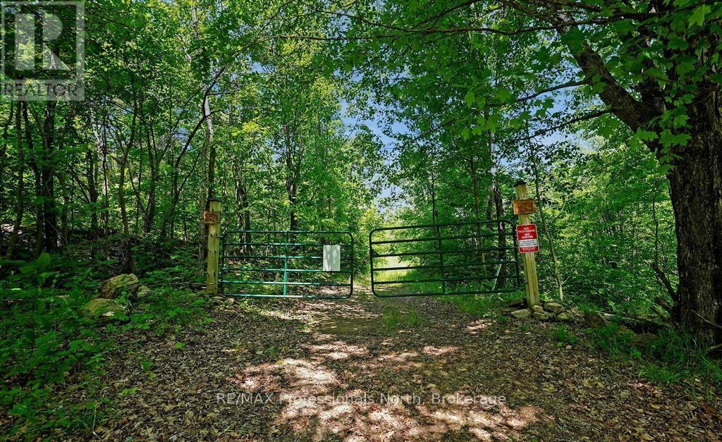 1134 Walkers Line Road, Algonquin Highlands, Ontario K0M 1S0 - Photo 6 - X12507824