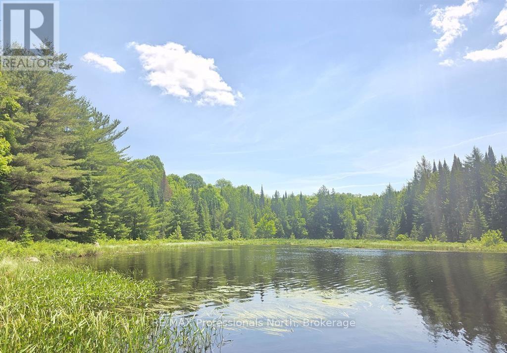 1134 Walkers Line Road, Algonquin Highlands, Ontario K0M 1S0 - Photo 9 - X12507824