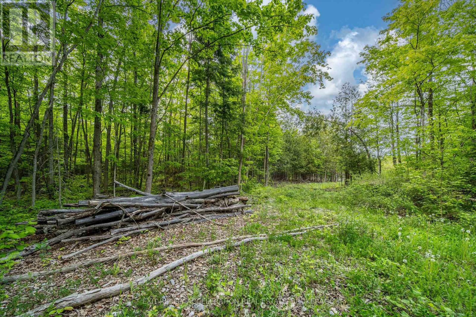 41 Stonehedge Road, Stone Mills (Stone Mills), Ontario  K0K 2L0 - Photo 11 - X12508034