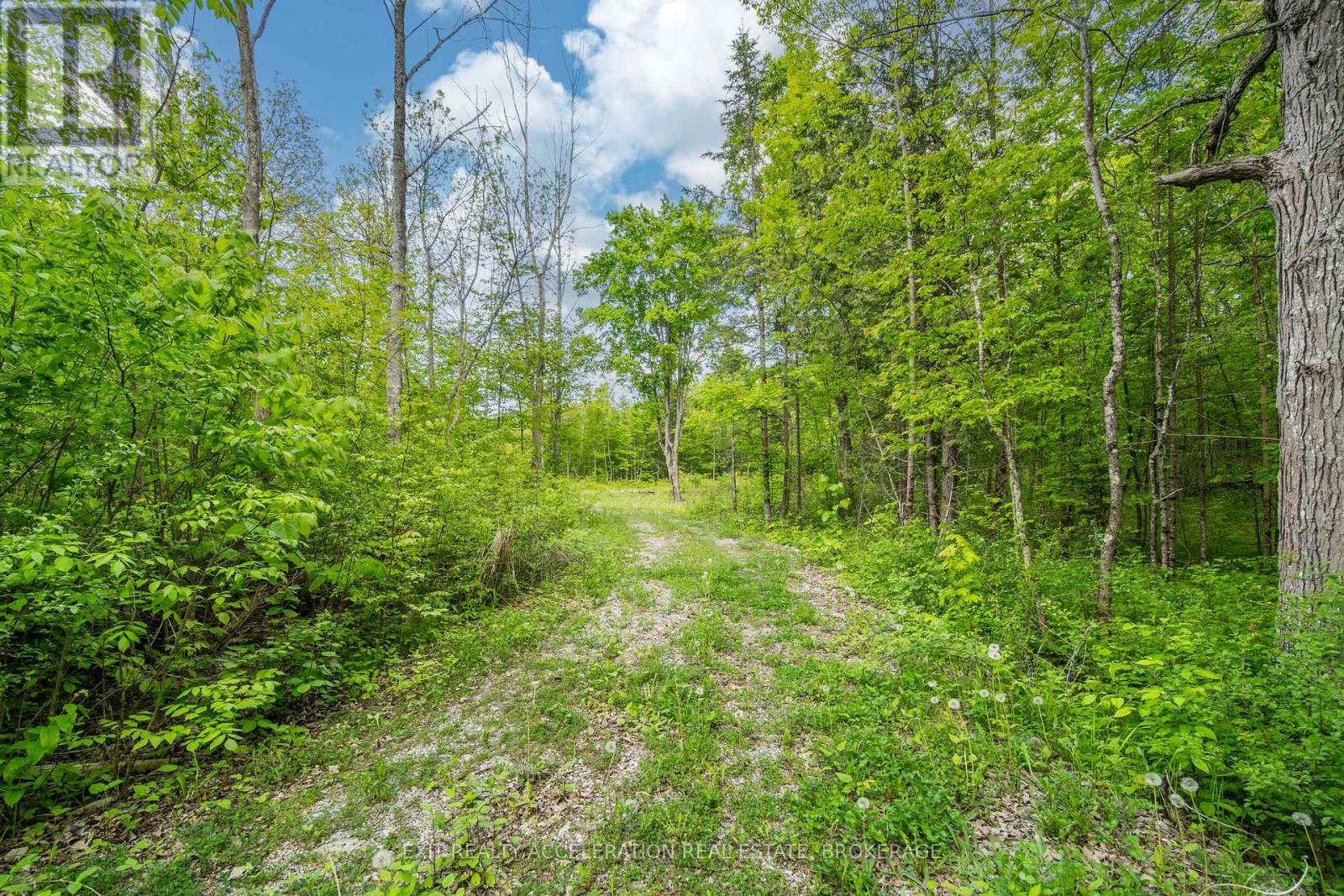 41 Stonehedge Road, Stone Mills (Stone Mills), Ontario  K0K 2L0 - Photo 12 - X12508034