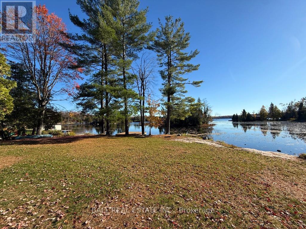 2149 Little Chipmunk Road, Douro-Dummer, Ontario  K0L 2H0 - Photo 28 - X12491638