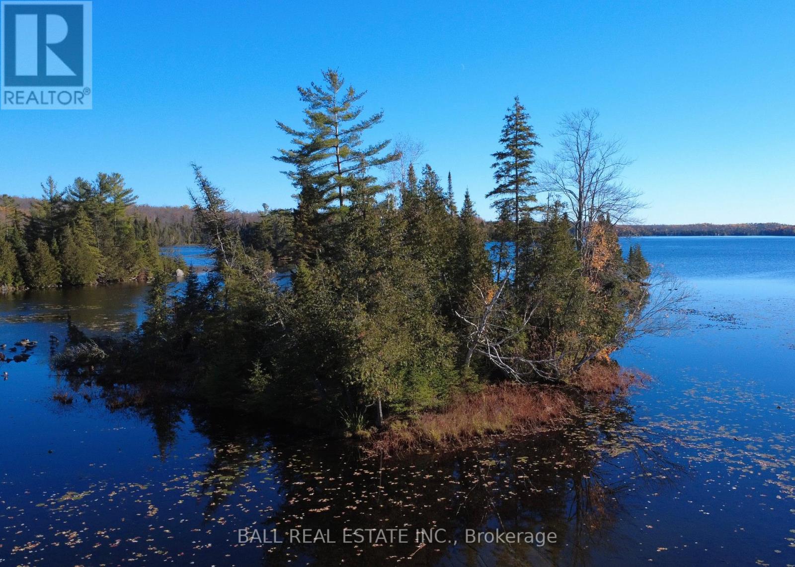 2149 Little Chipmunk Road, Douro-Dummer, Ontario  K0L 2H0 - Photo 37 - X12491638