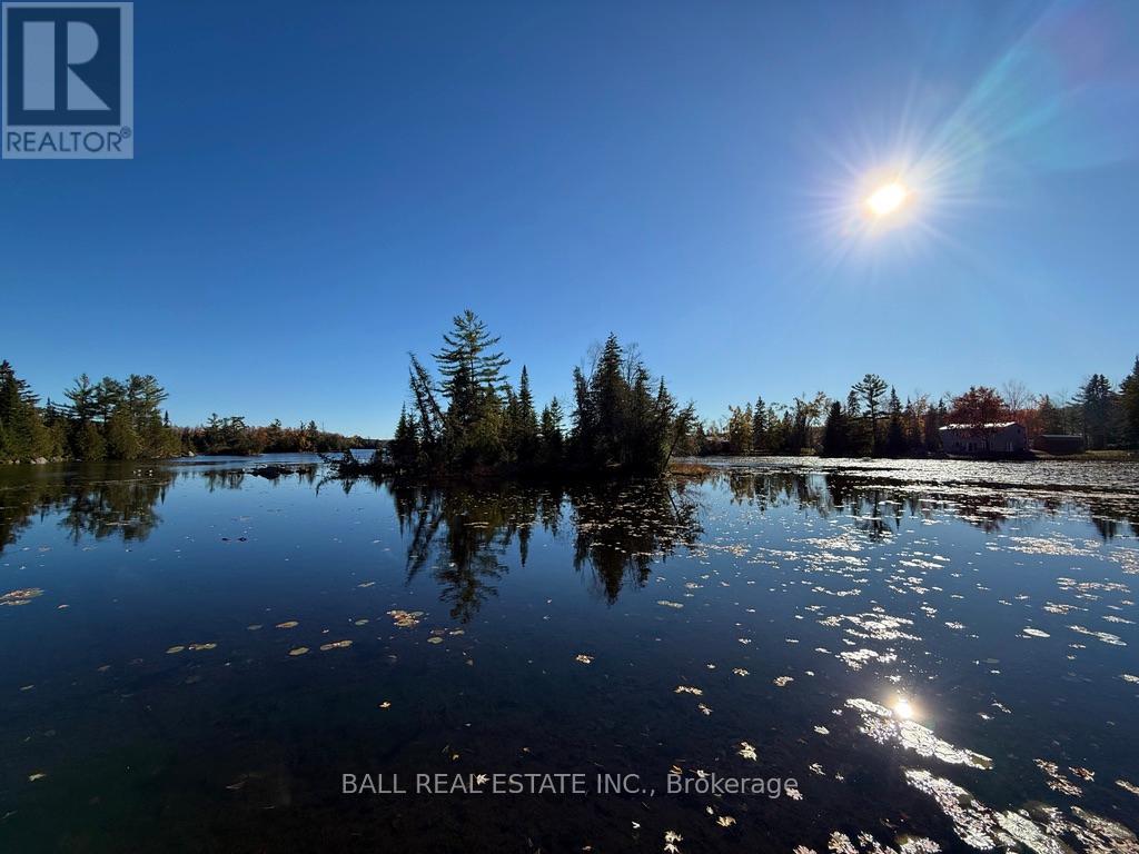 2149 Little Chipmunk Road, Douro-Dummer, Ontario  K0L 2H0 - Photo 31 - X12491638