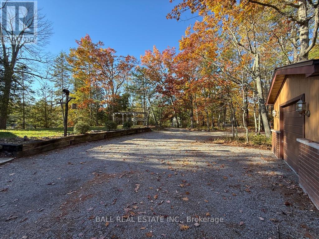 2149 Little Chipmunk Road, Douro-Dummer, Ontario  K0L 2H0 - Photo 44 - X12491638