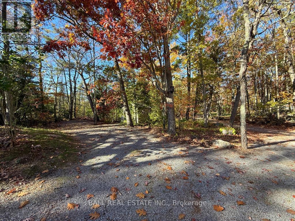 2149 Little Chipmunk Road, Douro-Dummer, Ontario  K0L 2H0 - Photo 46 - X12491638