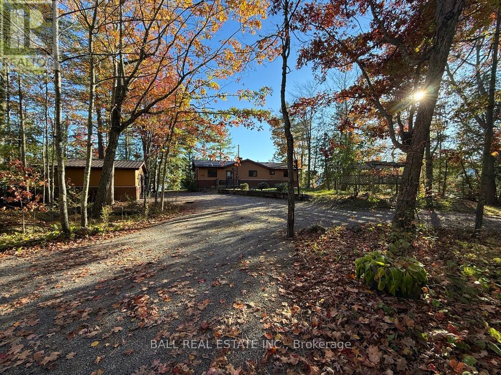 2149 Little Chipmunk Road, Douro-Dummer, Ontario  K0L 2H0 - Photo 49 - X12491638
