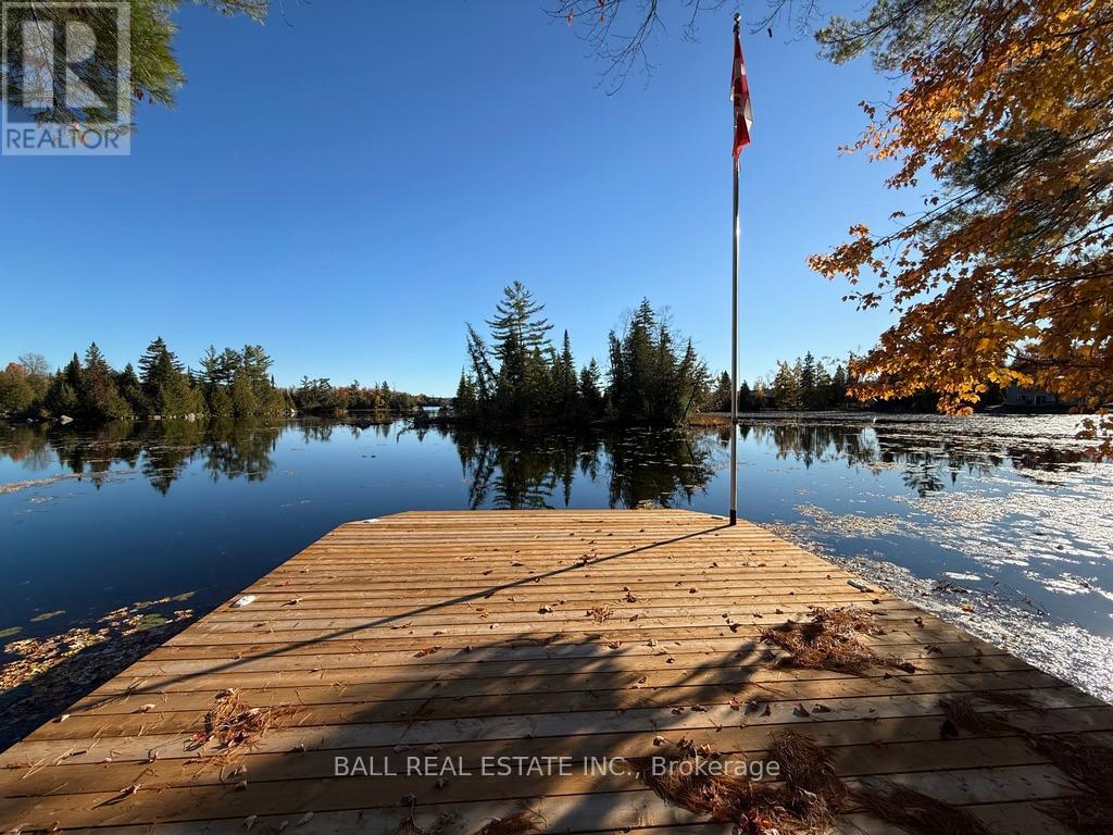 2149 Little Chipmunk Road, Douro-Dummer, Ontario  K0L 2H0 - Photo 29 - X12491638