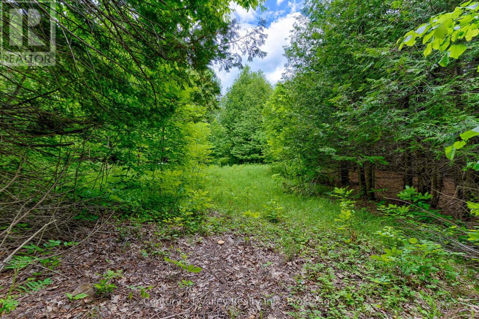 1148 Mt St Patrick Road, Admaston/bromley, Ontario  K7V 3Z7 - Photo 10 - X12501756