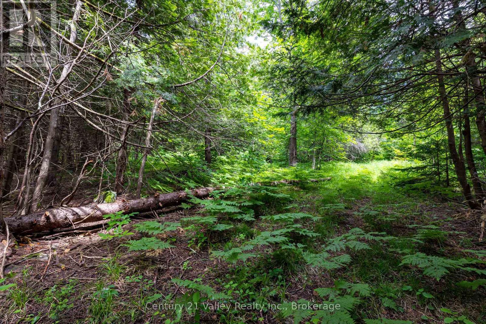 1148 Mt St Patrick Road, Admaston/bromley, Ontario  K7V 3Z7 - Photo 12 - X12501756