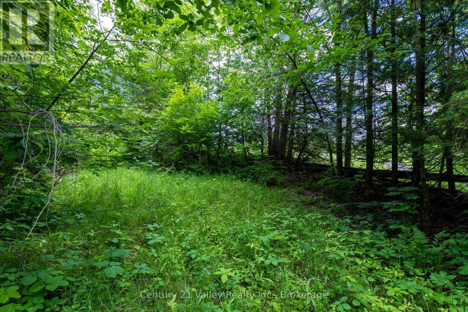 1148 Mt St Patrick Road, Admaston/bromley, Ontario  K7V 3Z7 - Photo 13 - X12501756