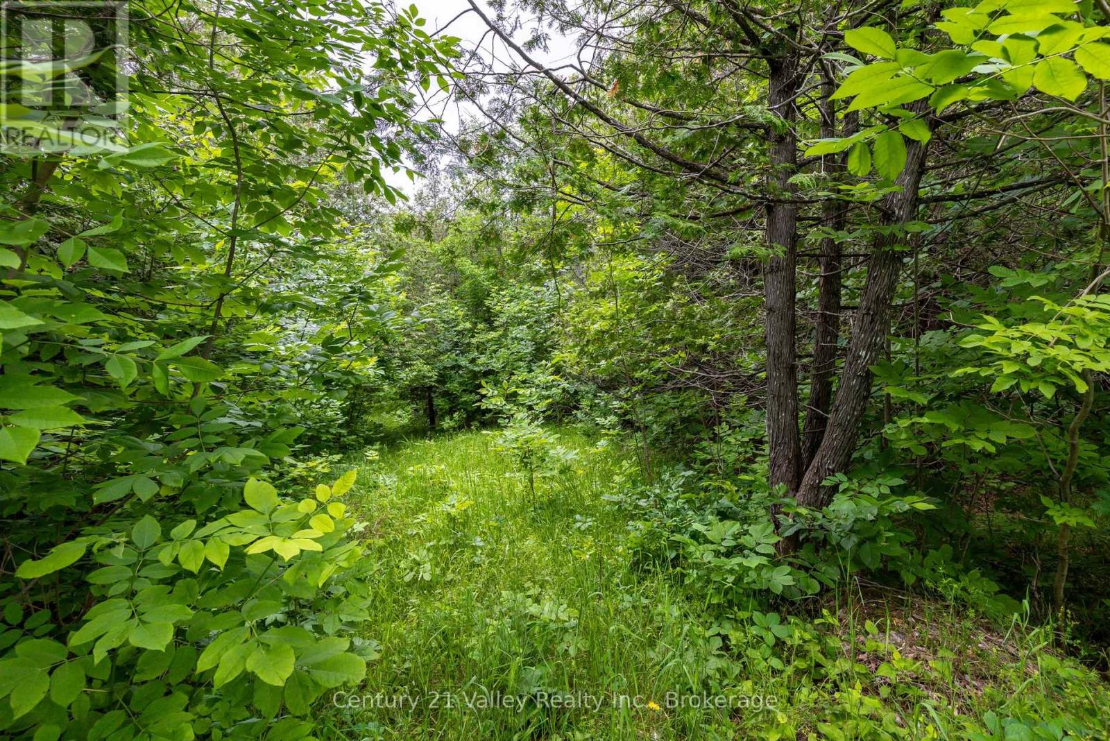 1148 Mt St Patrick Road, Admaston/bromley, Ontario  K7V 3Z7 - Photo 15 - X12501756