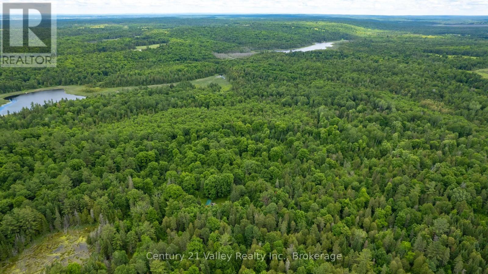 1148 Mt St Patrick Road, Admaston/bromley, Ontario  K7V 3Z7 - Photo 7 - X12501756