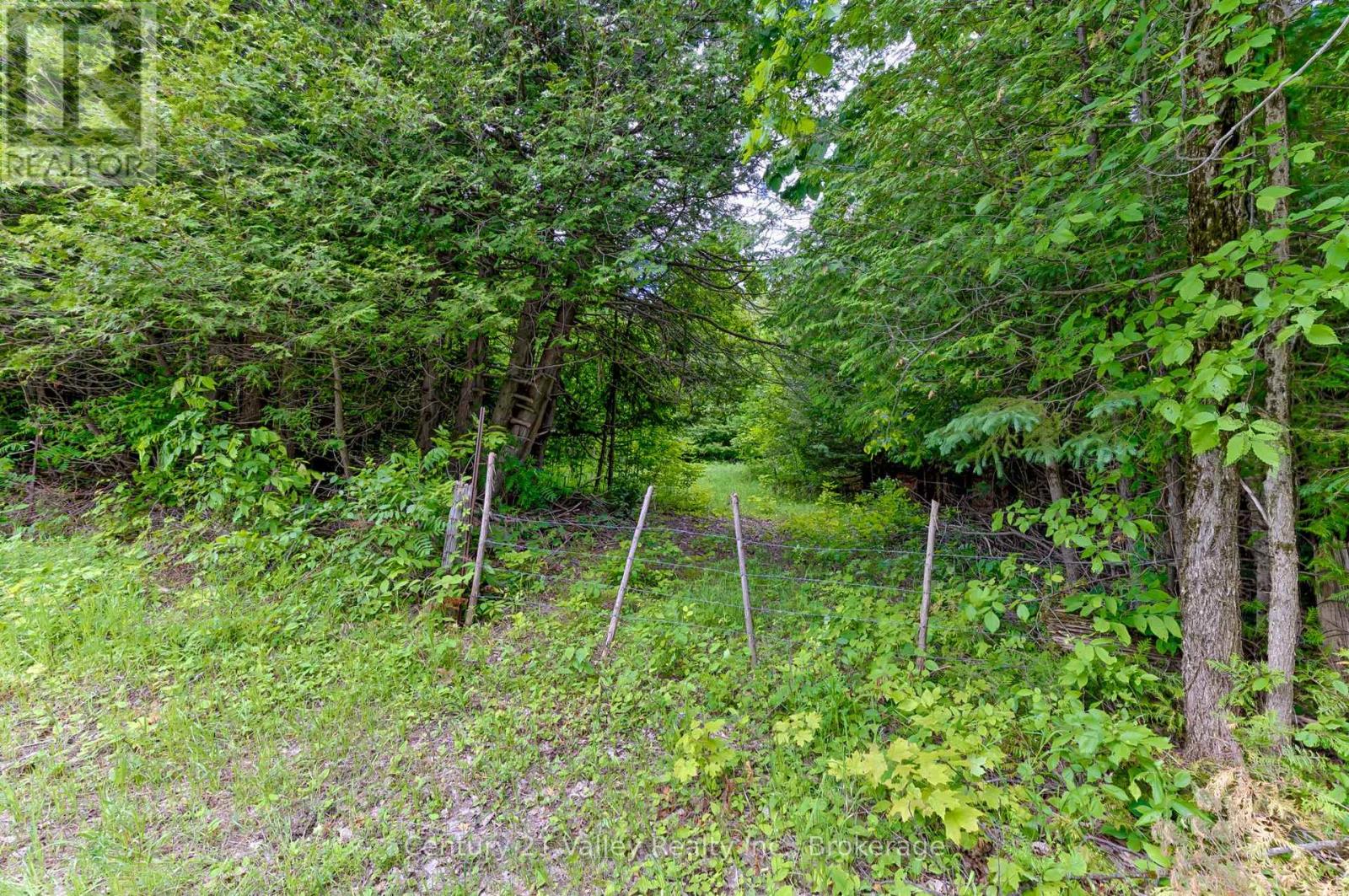 1148 Mt St Patrick Road, Admaston/bromley, Ontario  K7V 3Z7 - Photo 9 - X12501756