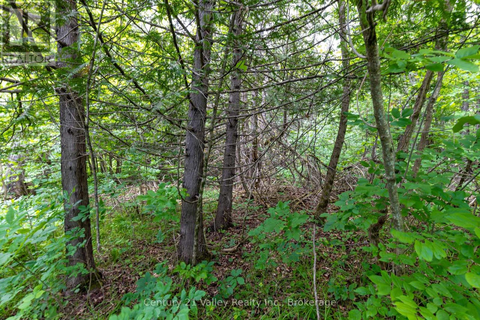 1148 Mt St Patrick Road, Admaston/bromley, Ontario  K7V 3Z7 - Photo 17 - X12501756