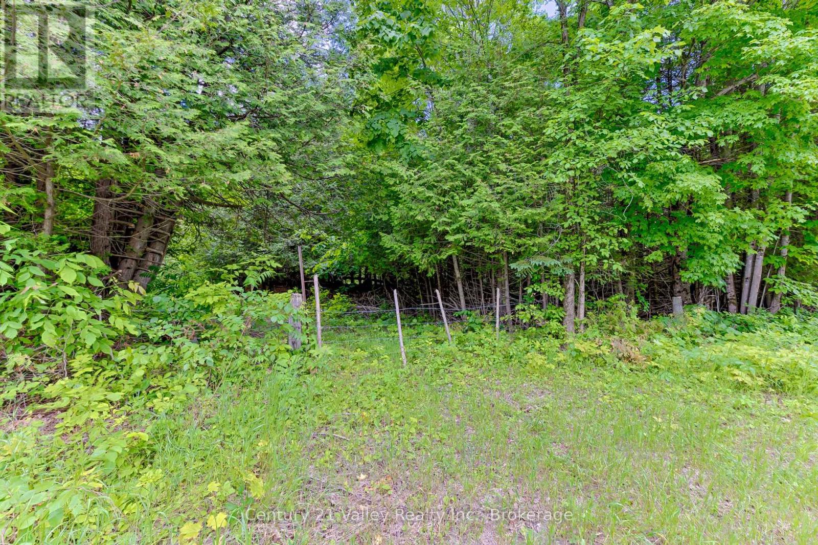 1148 Mt St Patrick Road, Admaston/bromley, Ontario  K7V 3Z7 - Photo 8 - X12501756