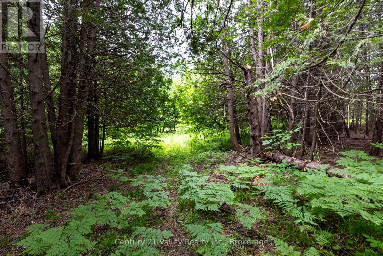 1148 Mt St Patrick Road, Admaston/bromley, Ontario  K7V 3Z7 - Photo 18 - X12501756