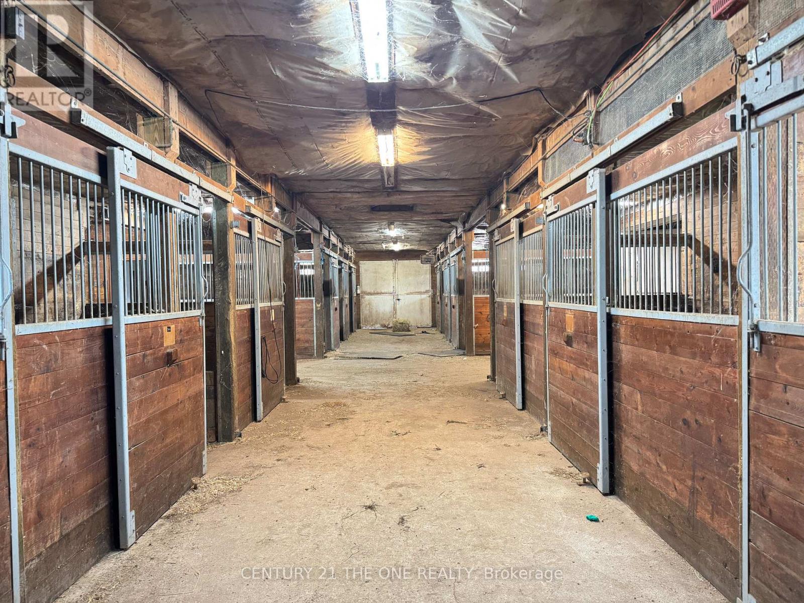 5828 Yonge Street, Innisfil, Ontario  L0L 1K0 - Photo 2 - N12507686