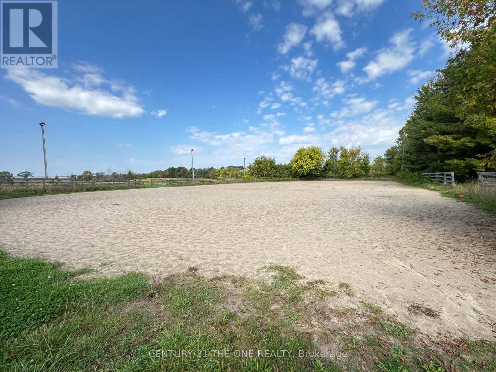 5828 Yonge Street, Innisfil, Ontario  L0L 1K0 - Photo 6 - N12507686