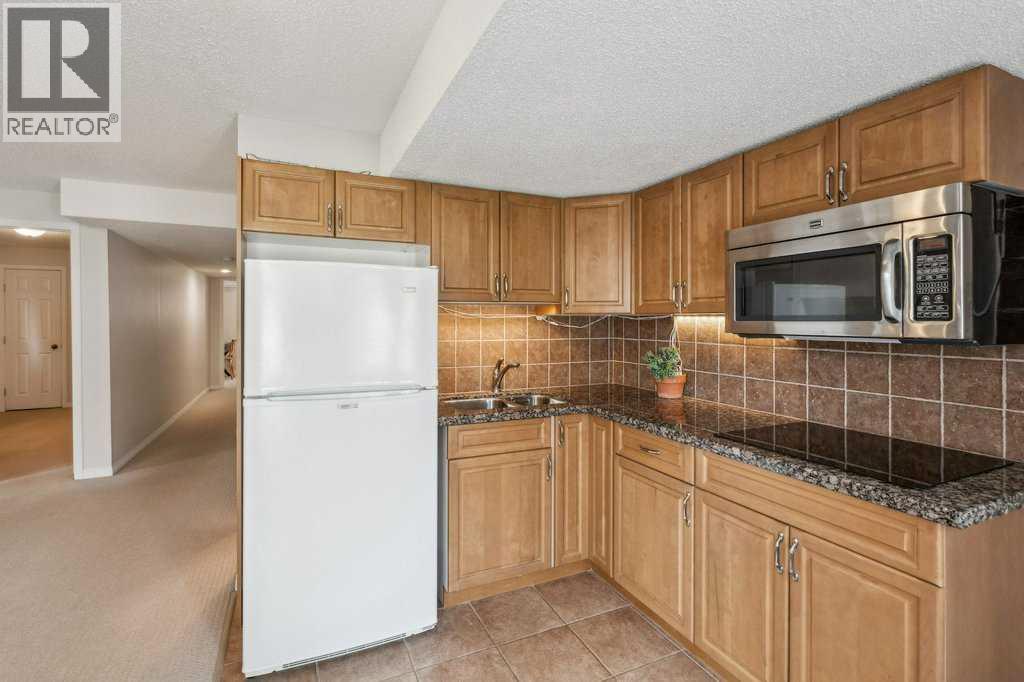 2208 33 Street Sw, Calgary, Alberta  T3E 2T1 - Photo 29 - A2266797