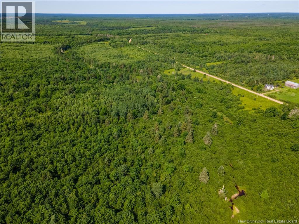 Na Village-Des-Cormer Road, Dundas, New Brunswick  E4T 3G7 - Photo 10 - NB129597