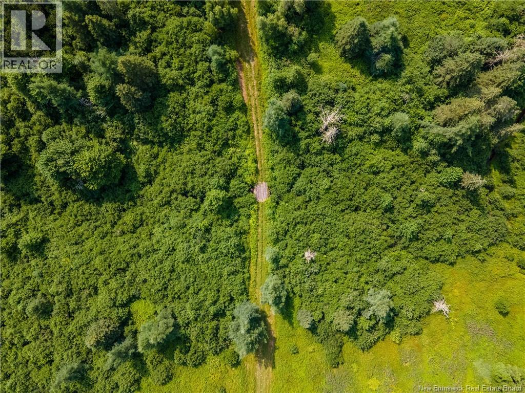 Na Village-Des-Cormer Road, Dundas, New Brunswick  E4T 3G7 - Photo 3 - NB129597