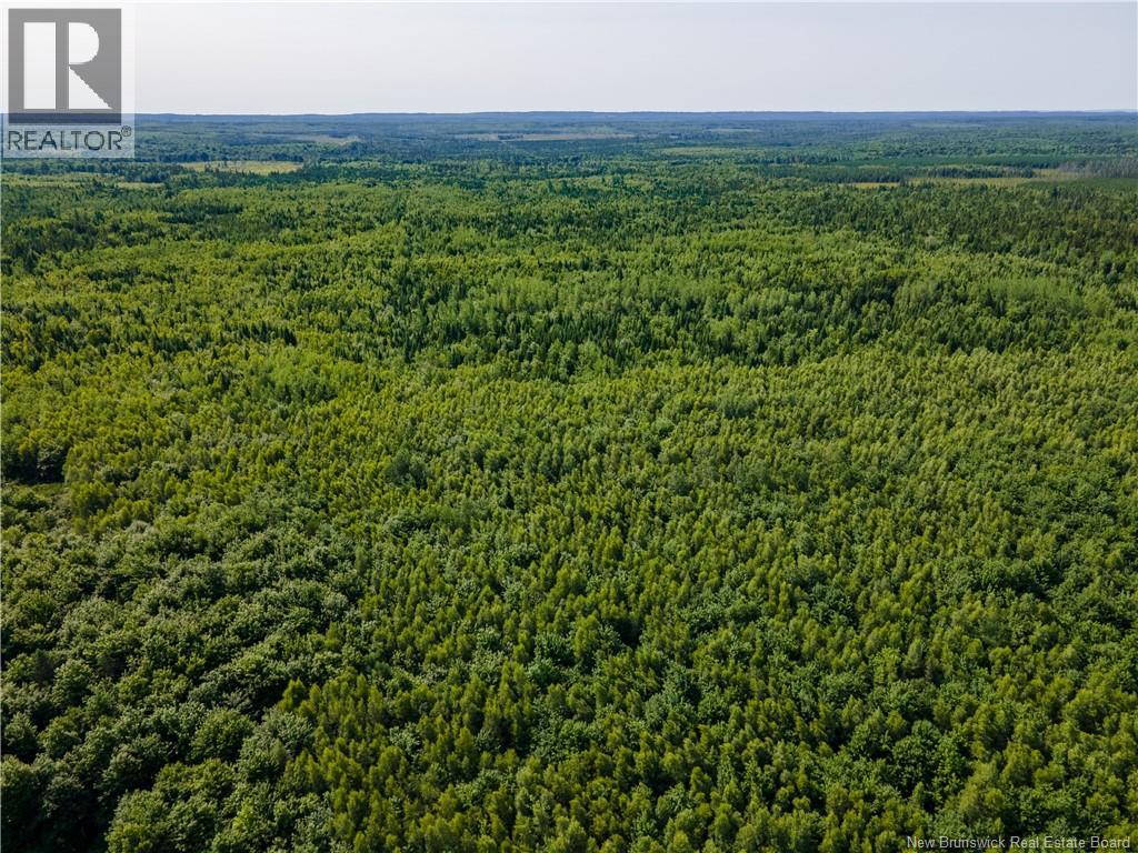 Na Village-Des-Cormer Road, Dundas, New Brunswick  E4T 3G7 - Photo 6 - NB129597