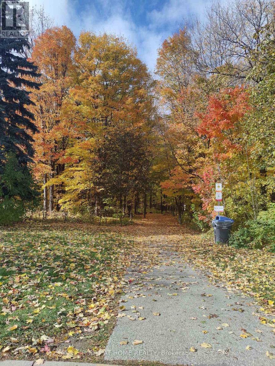 7161 Tamar Road, Mississauga, Ontario L5N 1Y7 - Photo 46 - W12507640