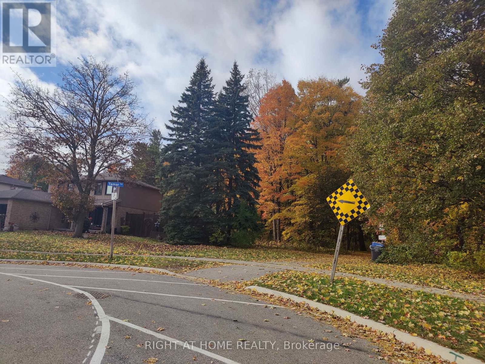 7161 Tamar Road, Mississauga, Ontario L5N 1Y7 - Photo 47 - W12507640