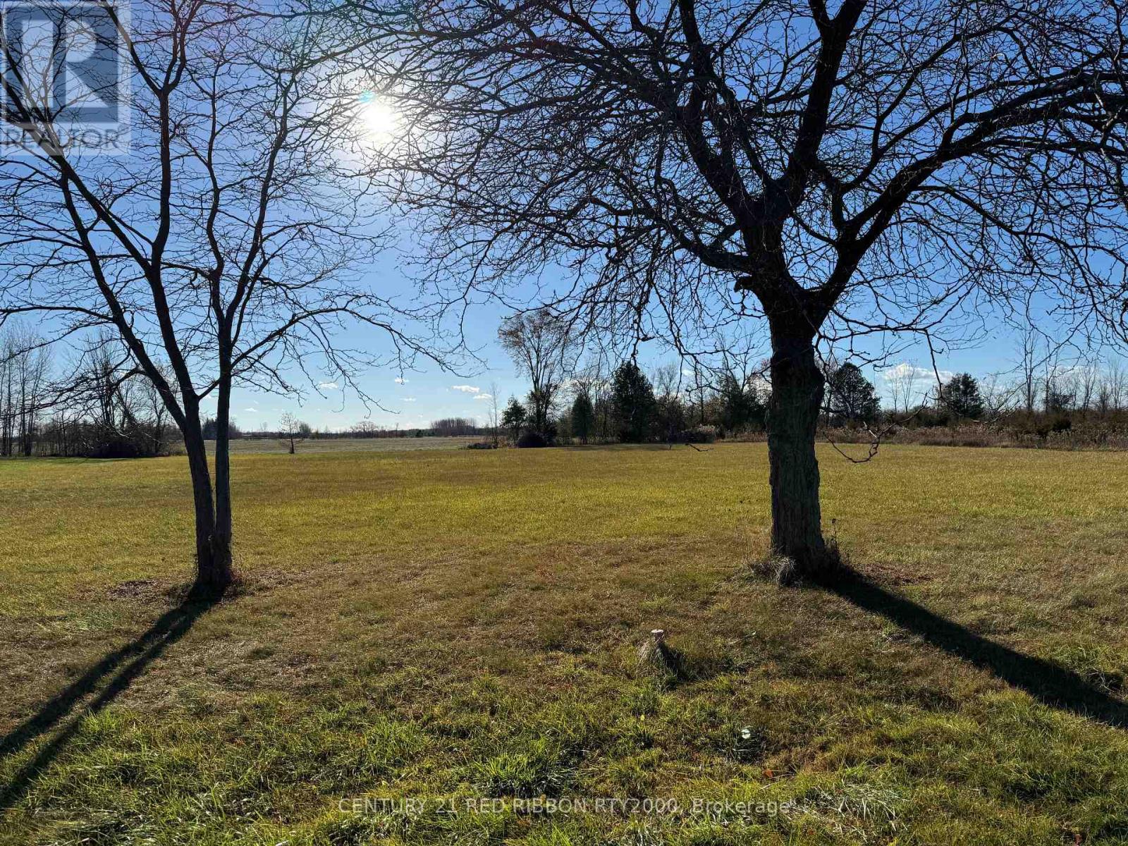 8603 Vance Drive, Lambton Shores, Ontario  N0N 1J7 - Photo 4 - X12508162