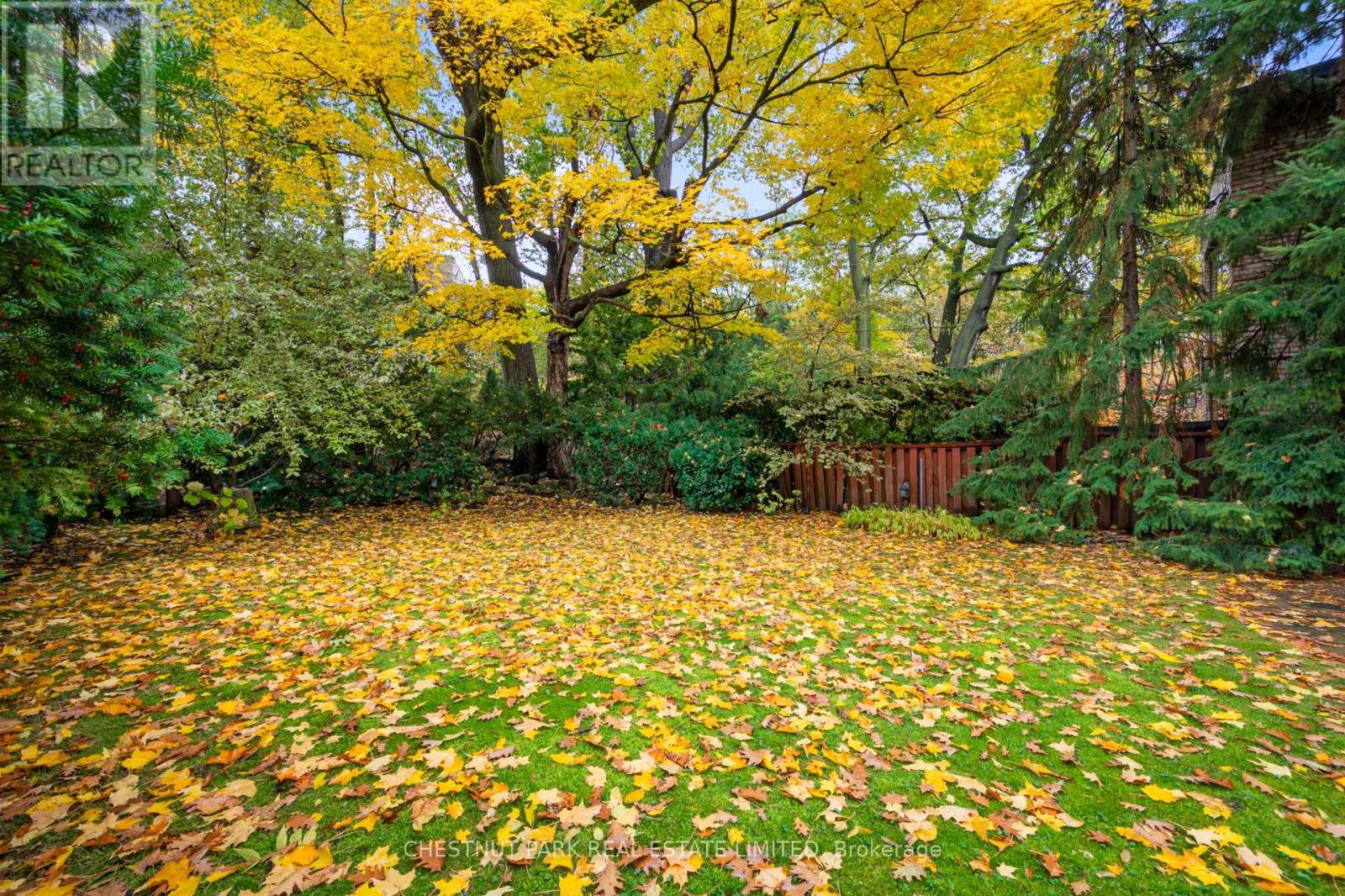 109 Park Road, Toronto, Ontario  M4W 2N8 - Photo 18 - C12507794