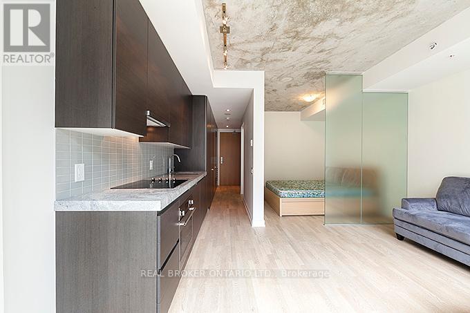 601 - 38 Stewart Street, Toronto, Ontario  M5V 0H1 - Photo 9 - C12507914