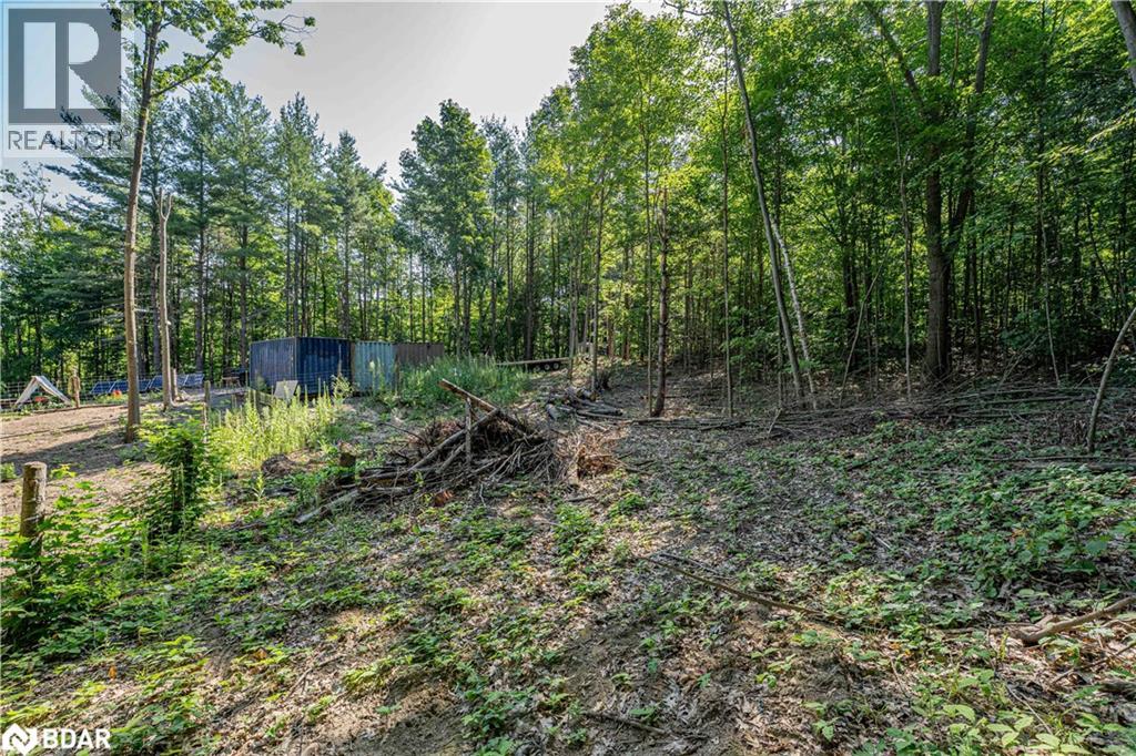 8294 County Rd 27, Barrie, Ontario  L4N 9C4 - Photo 27 - 40781749