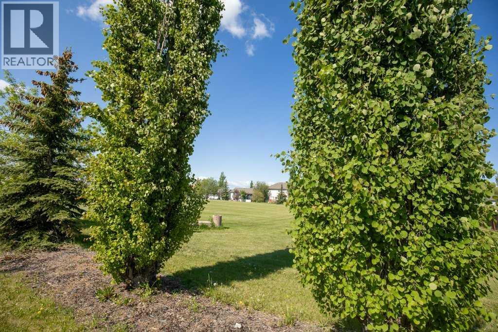 431 Carriage Lane Crossing, Carstairs, Alberta  T0M 0N0 - Photo 8 - A2265667