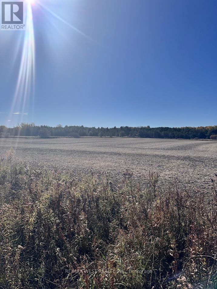 211 Queen Street W, Springwater, Ontario  L0L 1P0 - Photo 12 - S12507732