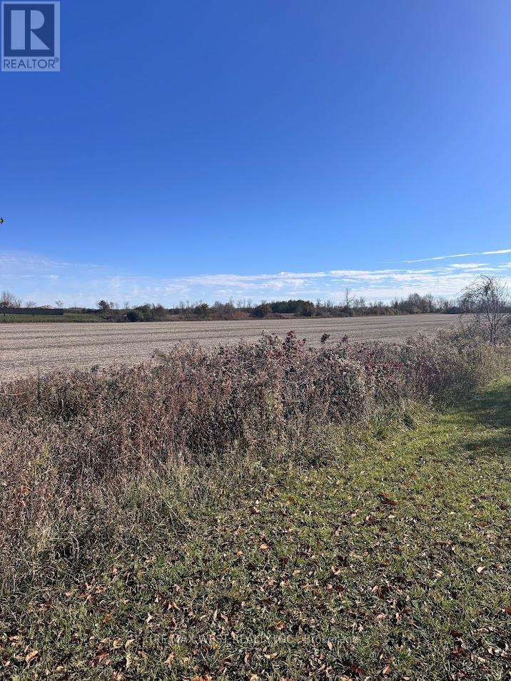 211 Queen Street W, Springwater, Ontario  L0L 1P0 - Photo 13 - S12507732